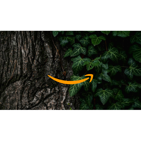 Amazon stawia na zrównoważony rozwój